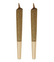 Big Buddy Sativa Pre-Roll 2