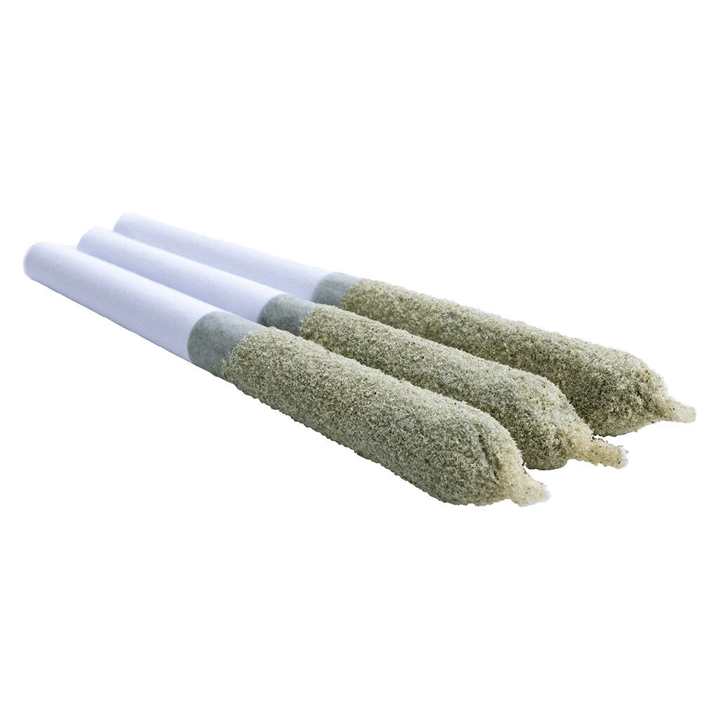 Shark Bite Toasters Infused Pre-roll