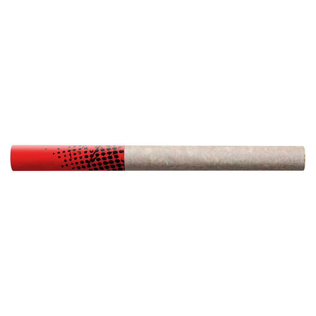 Blueberry Dream Tube Style Pre-Roll