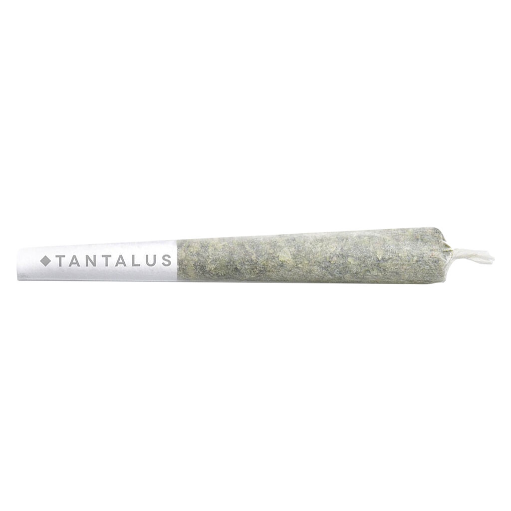 Wedding Crashers Pre-Roll
