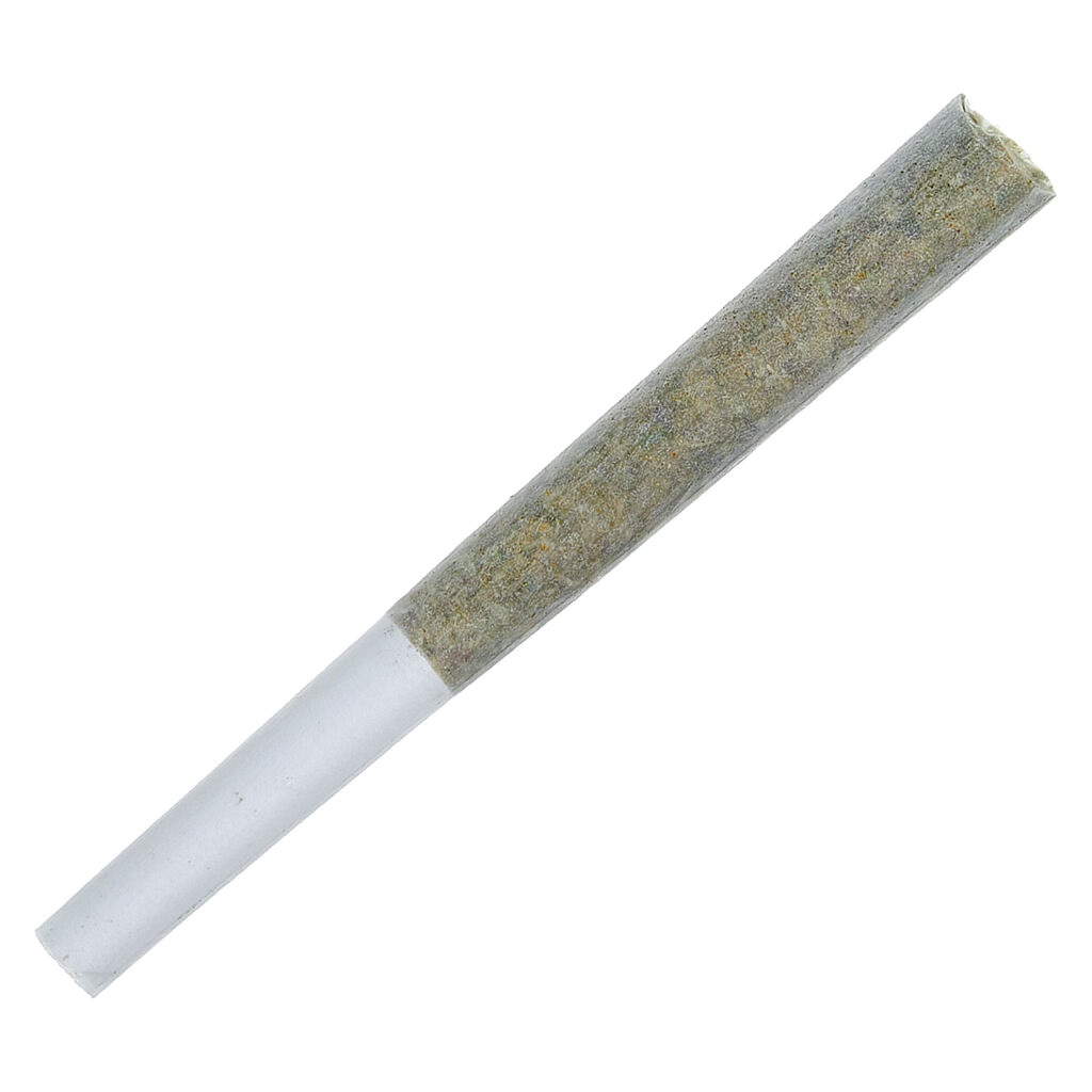Trends Former Pre-Roll