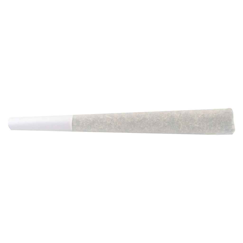 Jack Haze Bubble Hash-Infused Pre-Rolls
