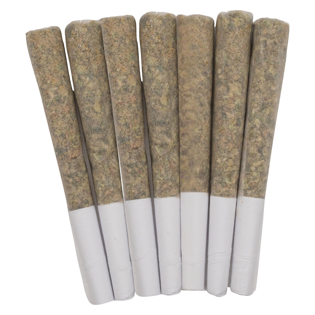 Exotics Pre-roll 2