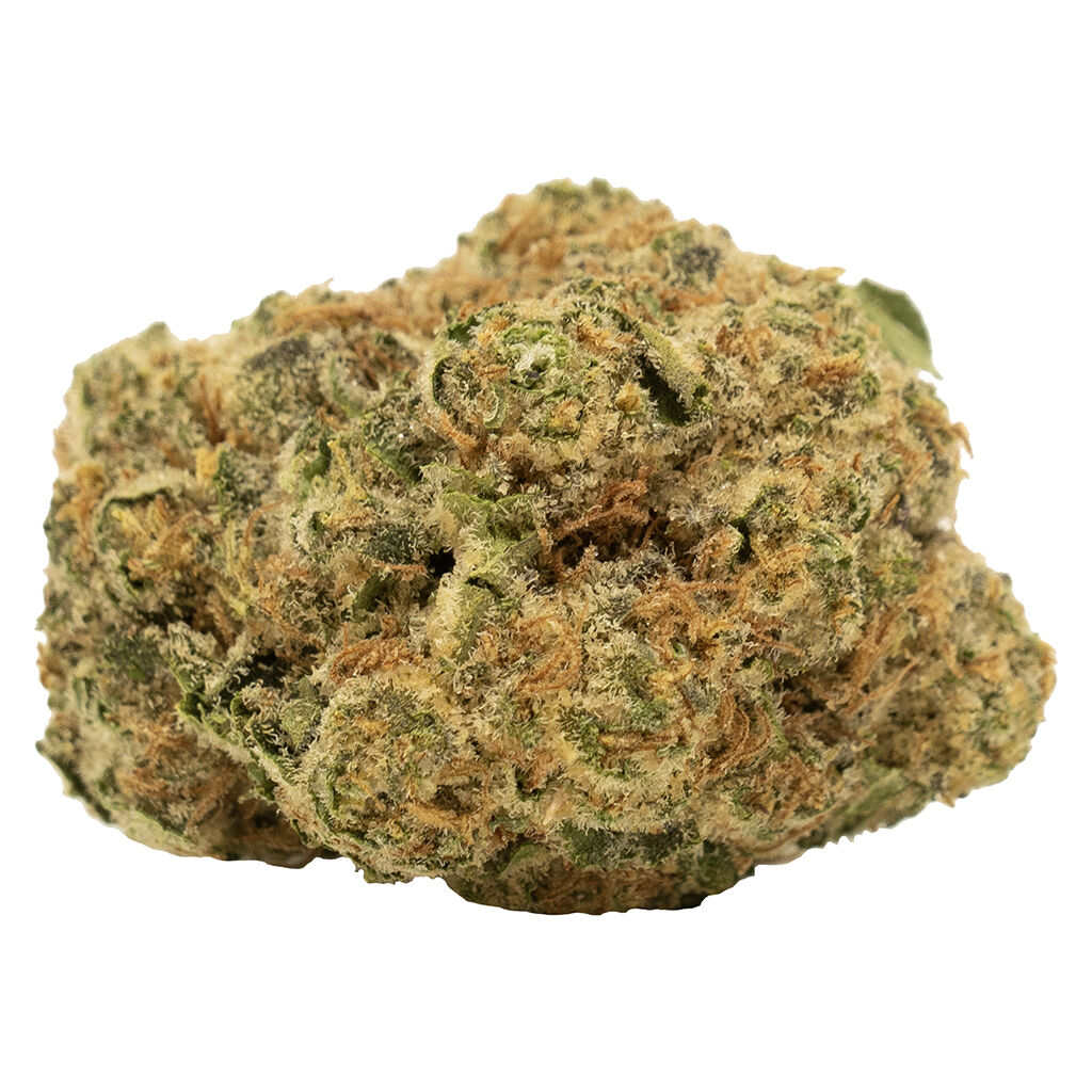 Gorilla Berry 3
