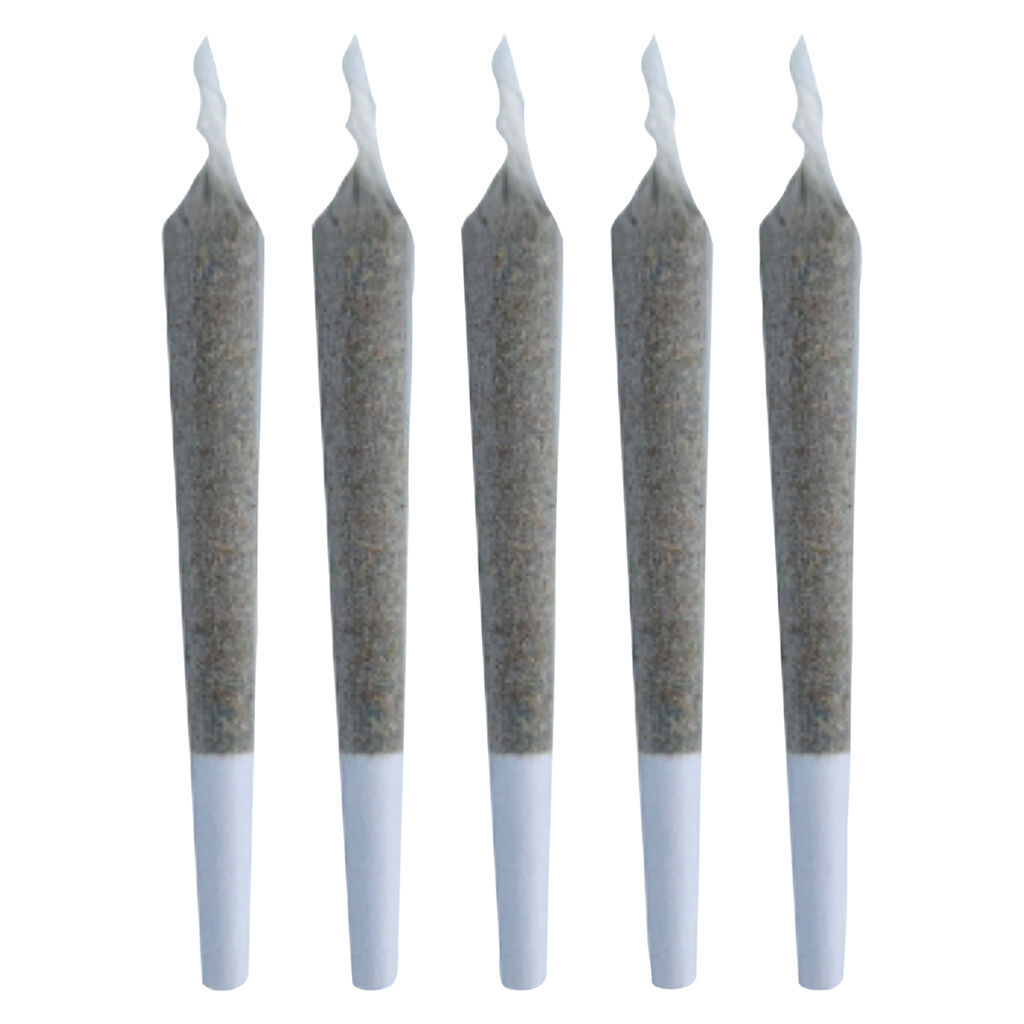 Cosmic Cookies Pre-Roll 2