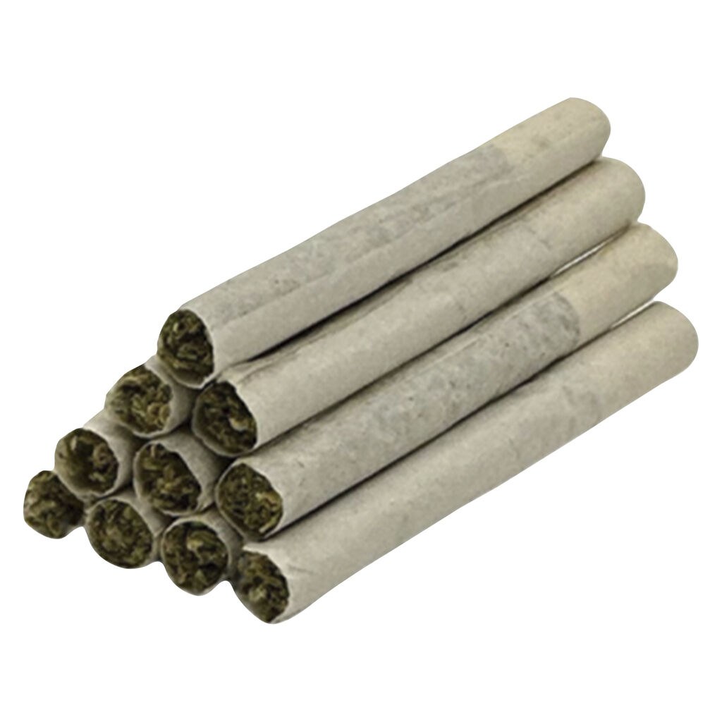 LOW FREQUENCY Pre-Roll