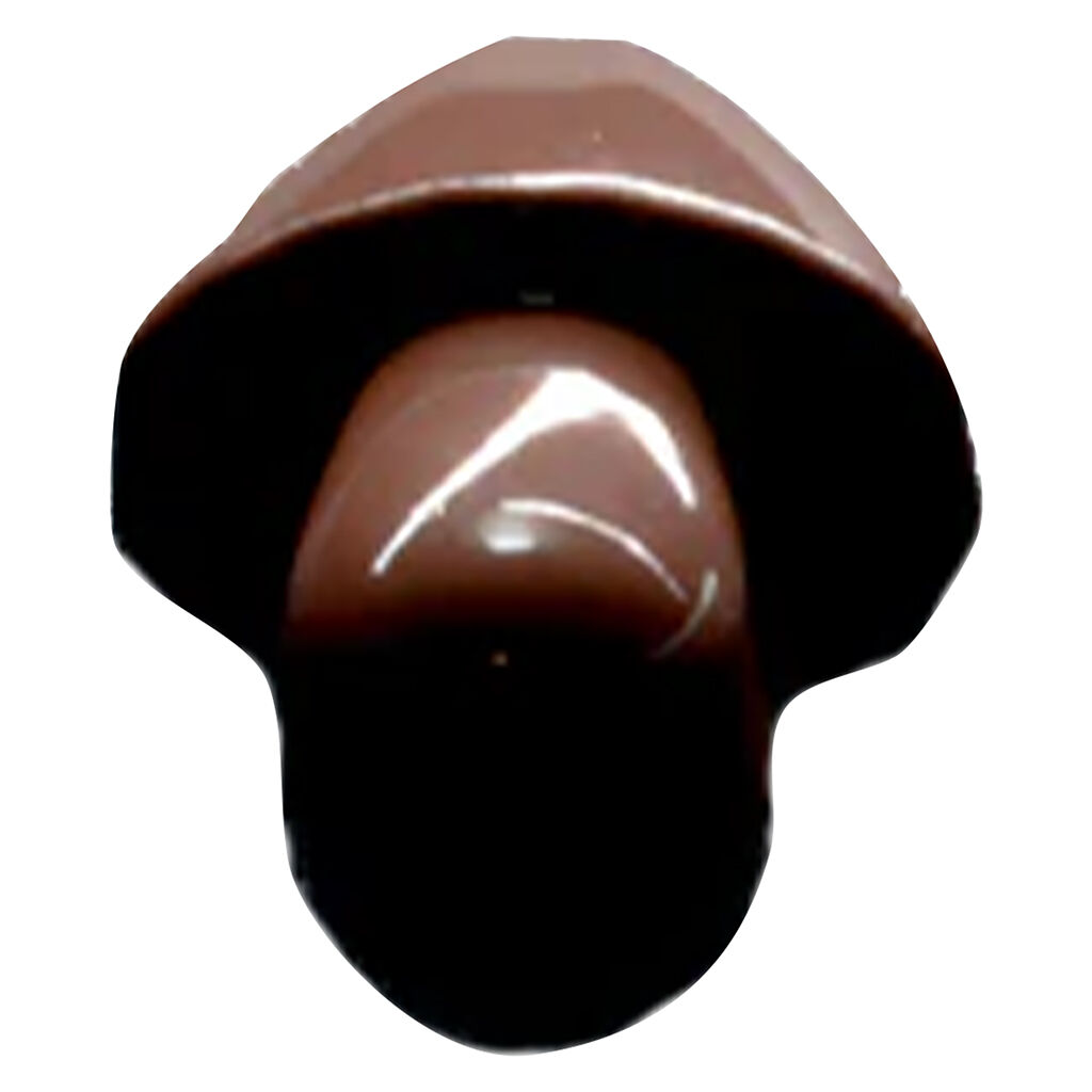Maitake Orange Dark Chocolate