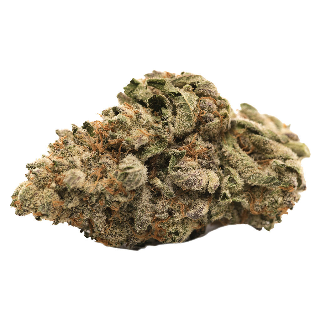 Grease Monkey