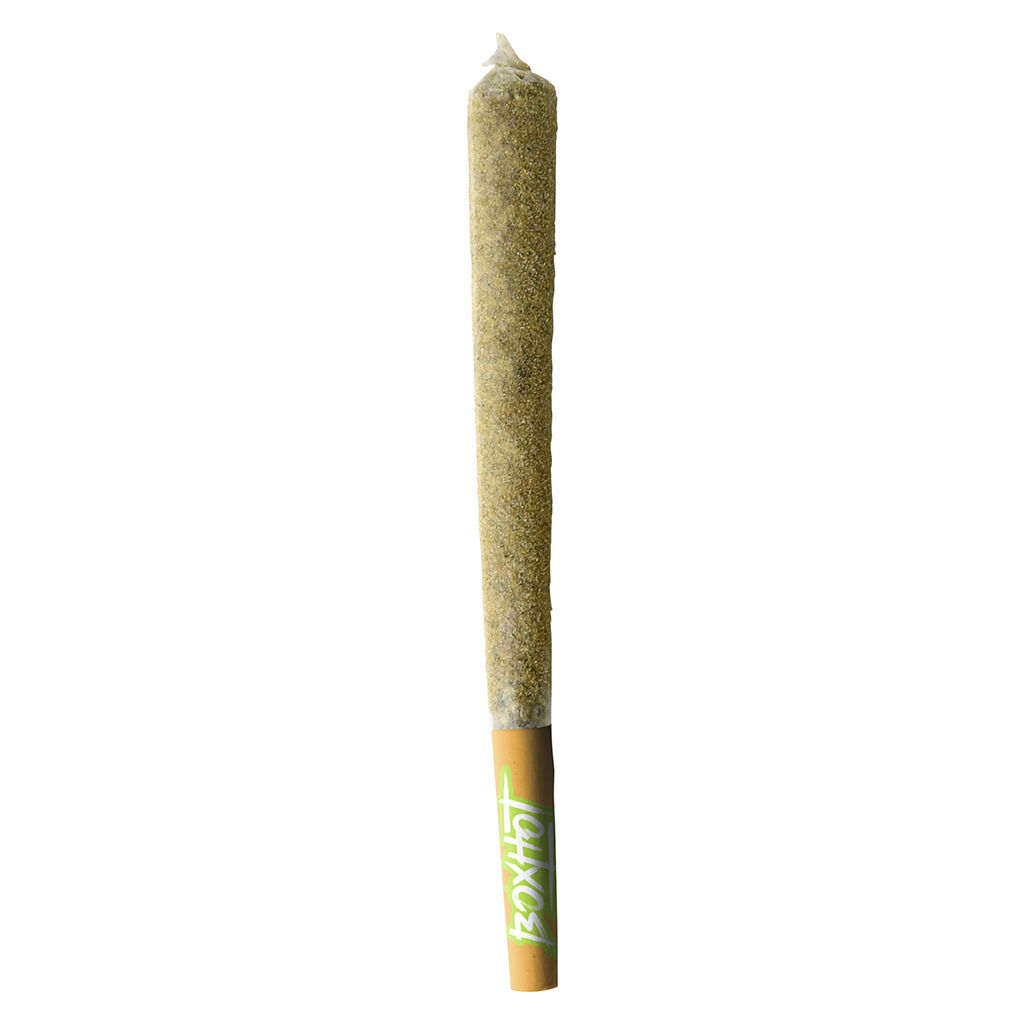 Dusties XL Retro Orange Blast Kief-Coated Infused Pre-Roll