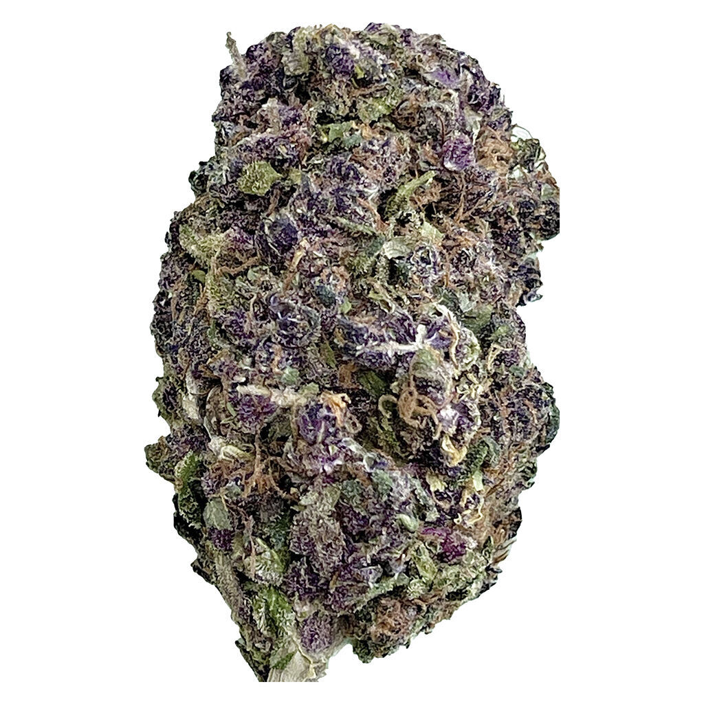 Purple Honey - True Premium Purple Buds