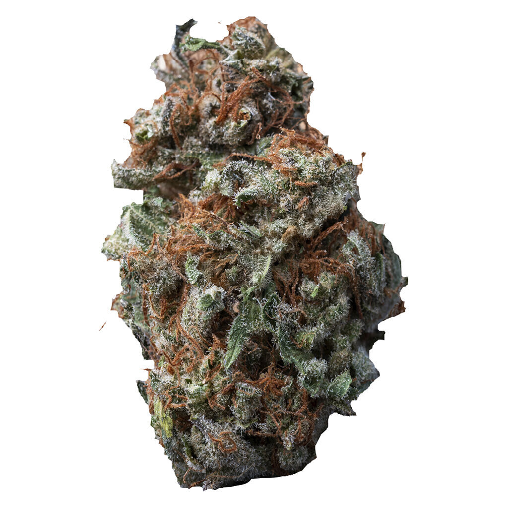 Sasquatch Sap 2