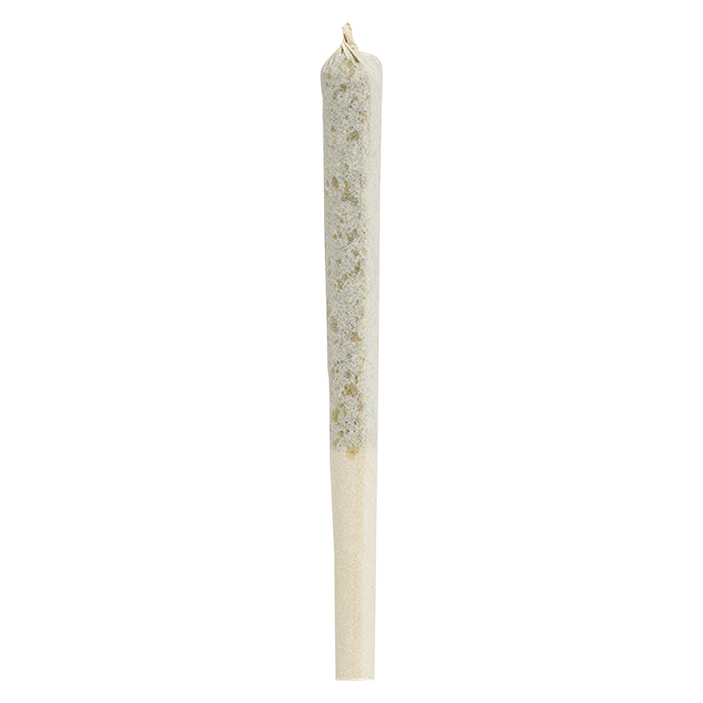 M'mosa Pre-Roll