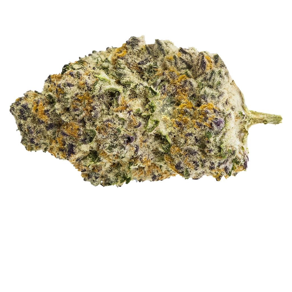 Gorilla Milk 2
