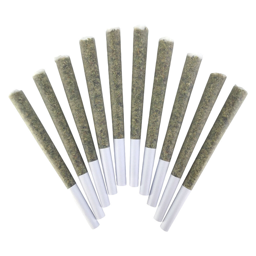 VelcroZ Pre-Roll