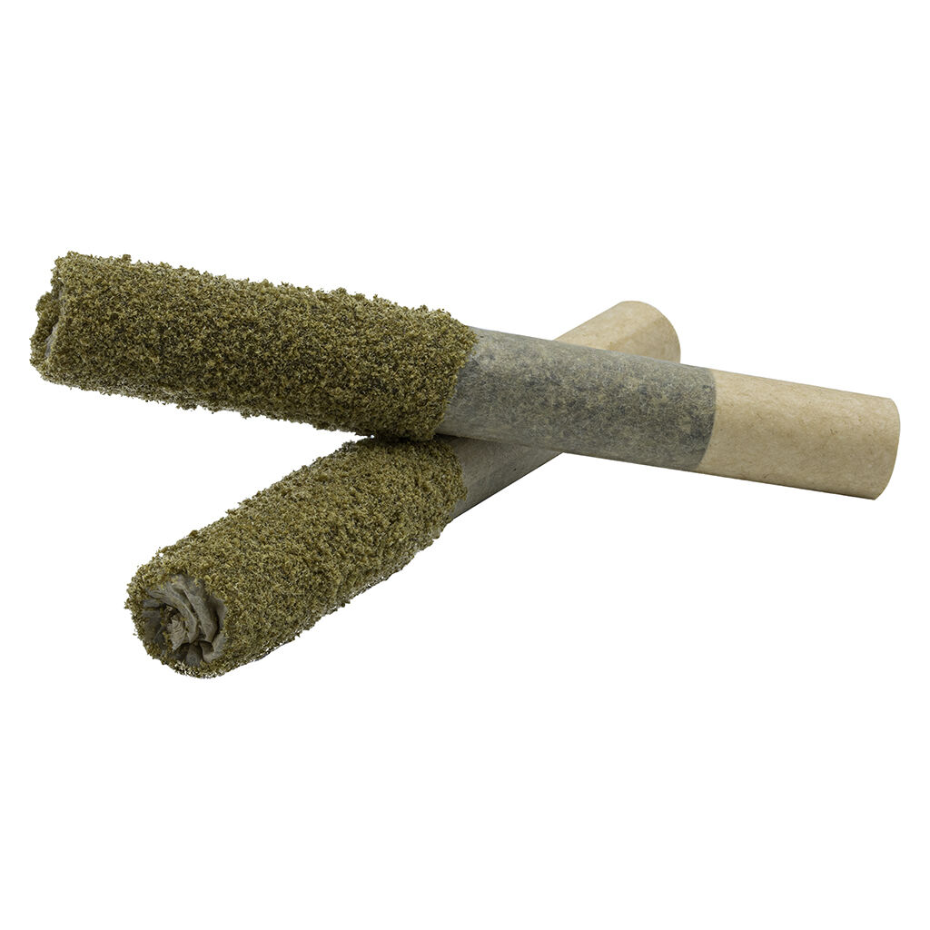 Ghost Purp Dusted Dank 1s Infused Pre-Roll