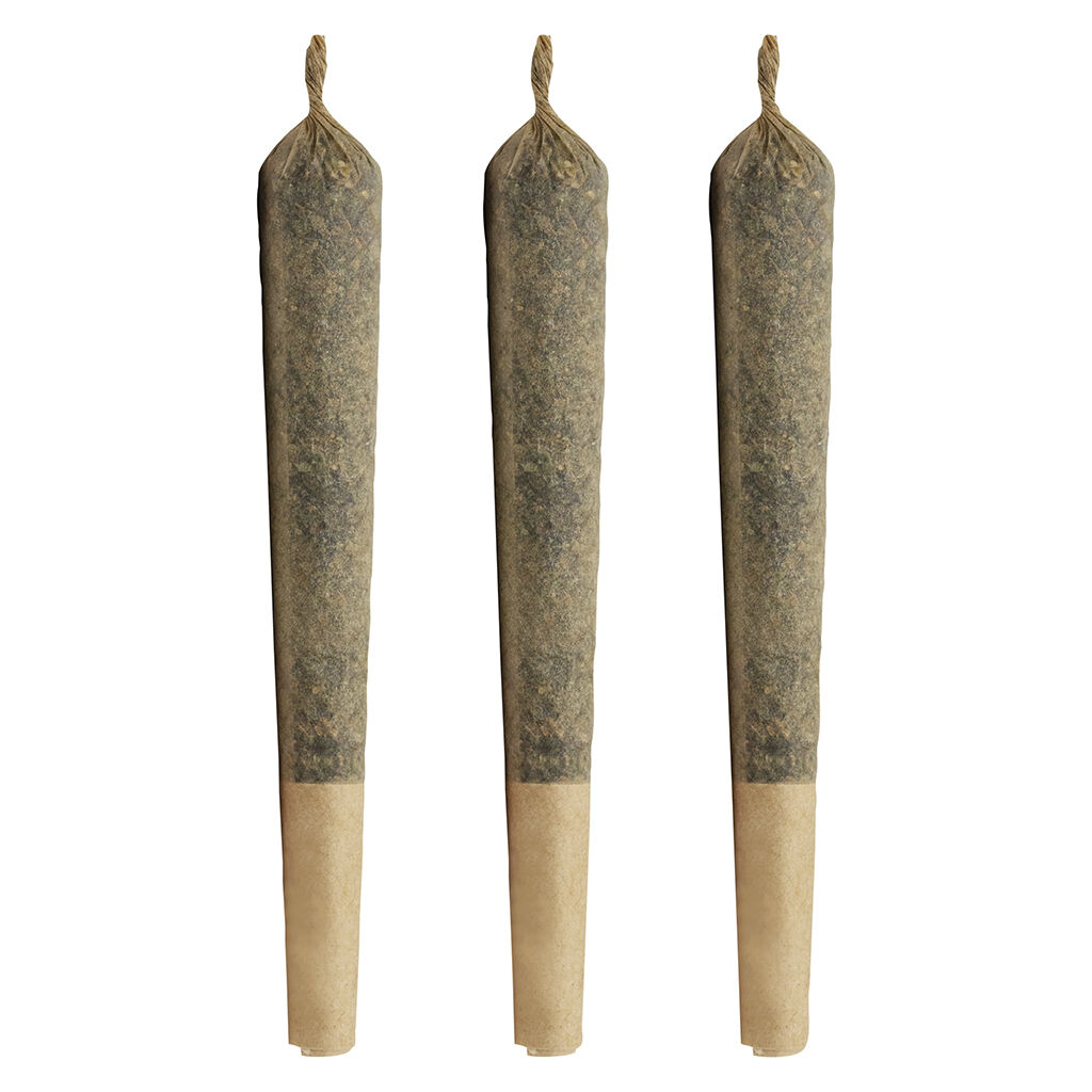 The Jeffrey Pre-Roll