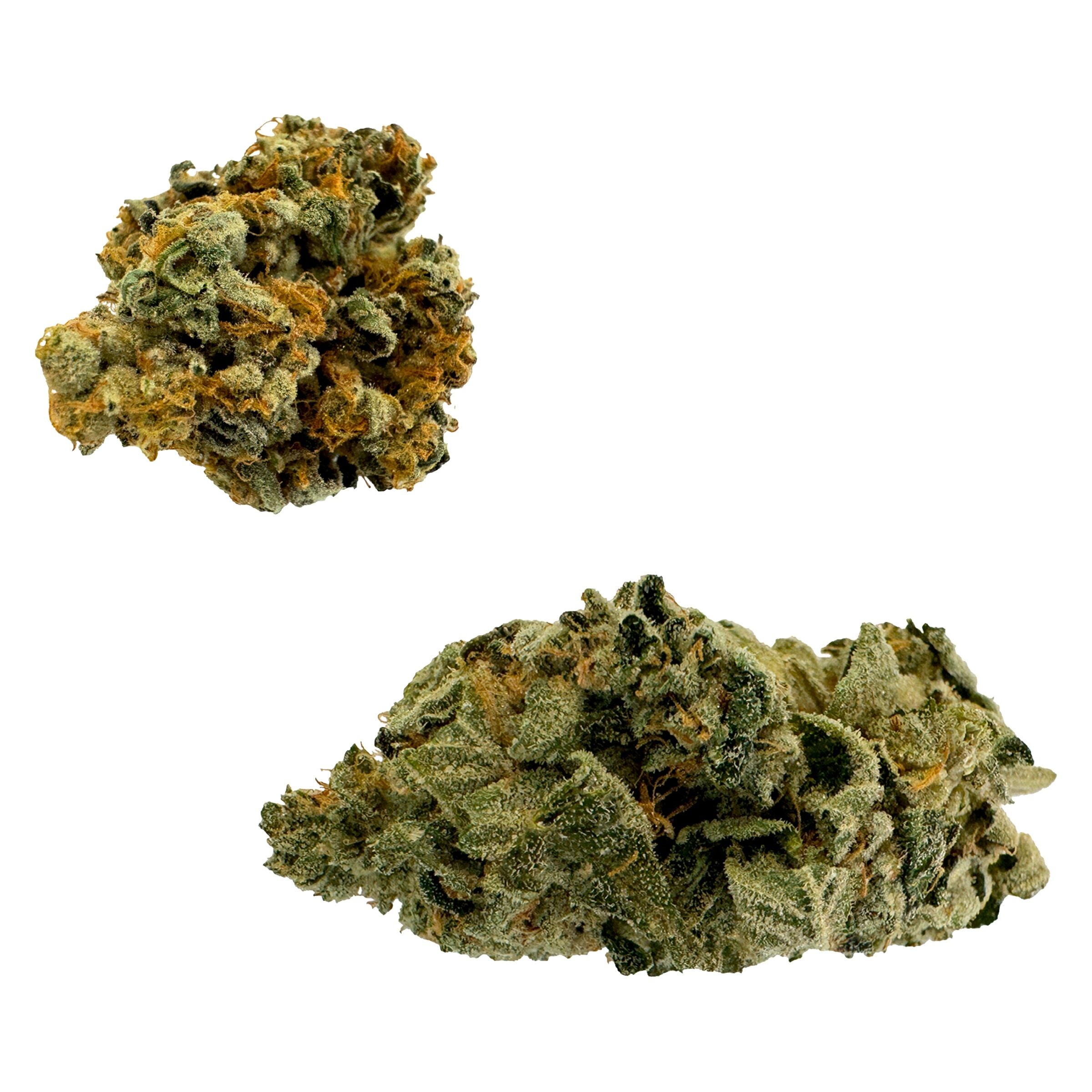 Discoveries Indica Craft Whole Flower