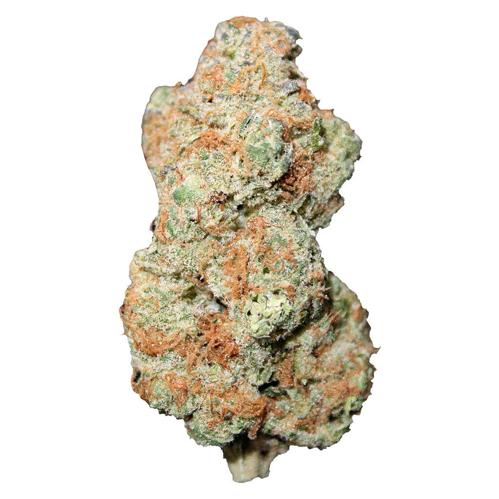 Jonny's Stash Rotational Sativa