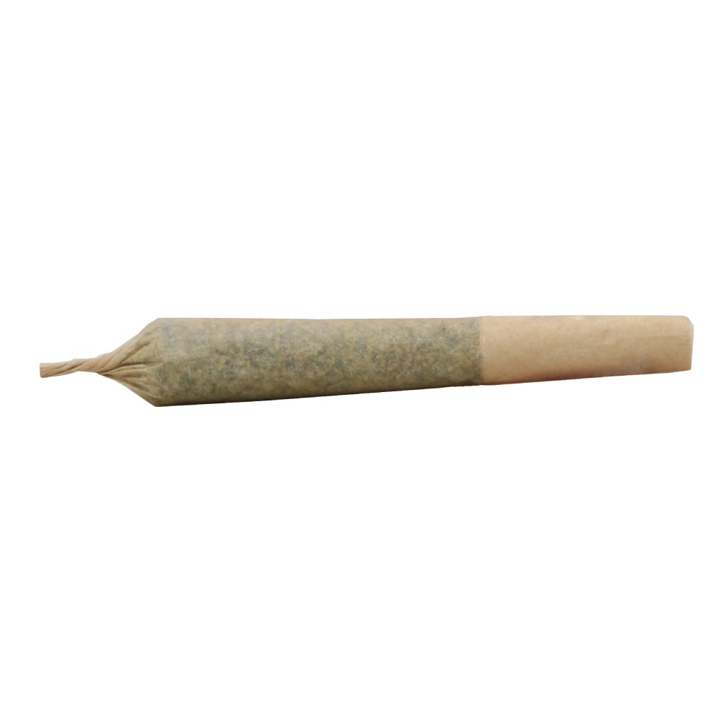 The Jeffrey Pre-Roll 2