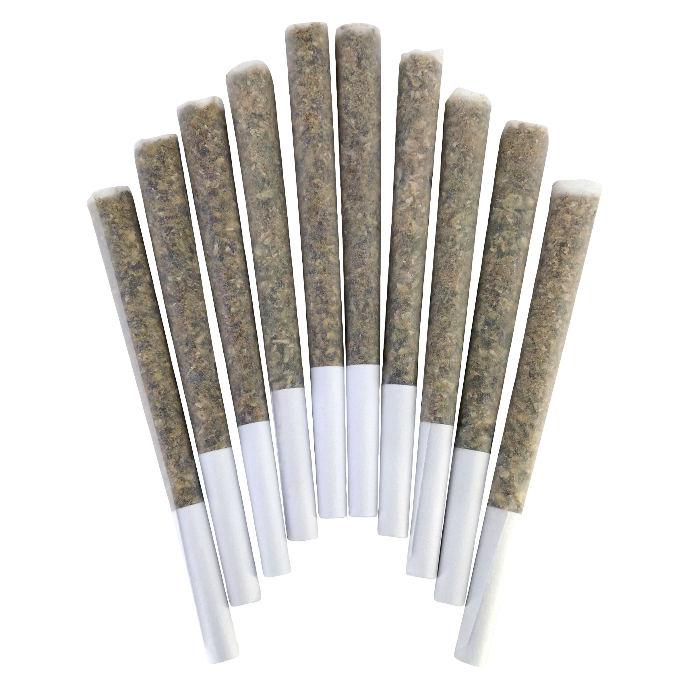 TootZ Pop Pre-Roll