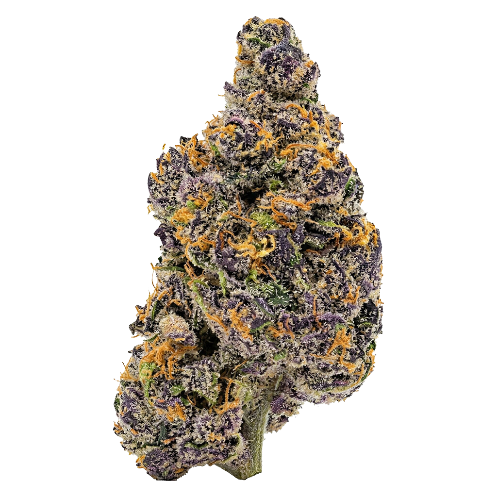 Aurora Frost