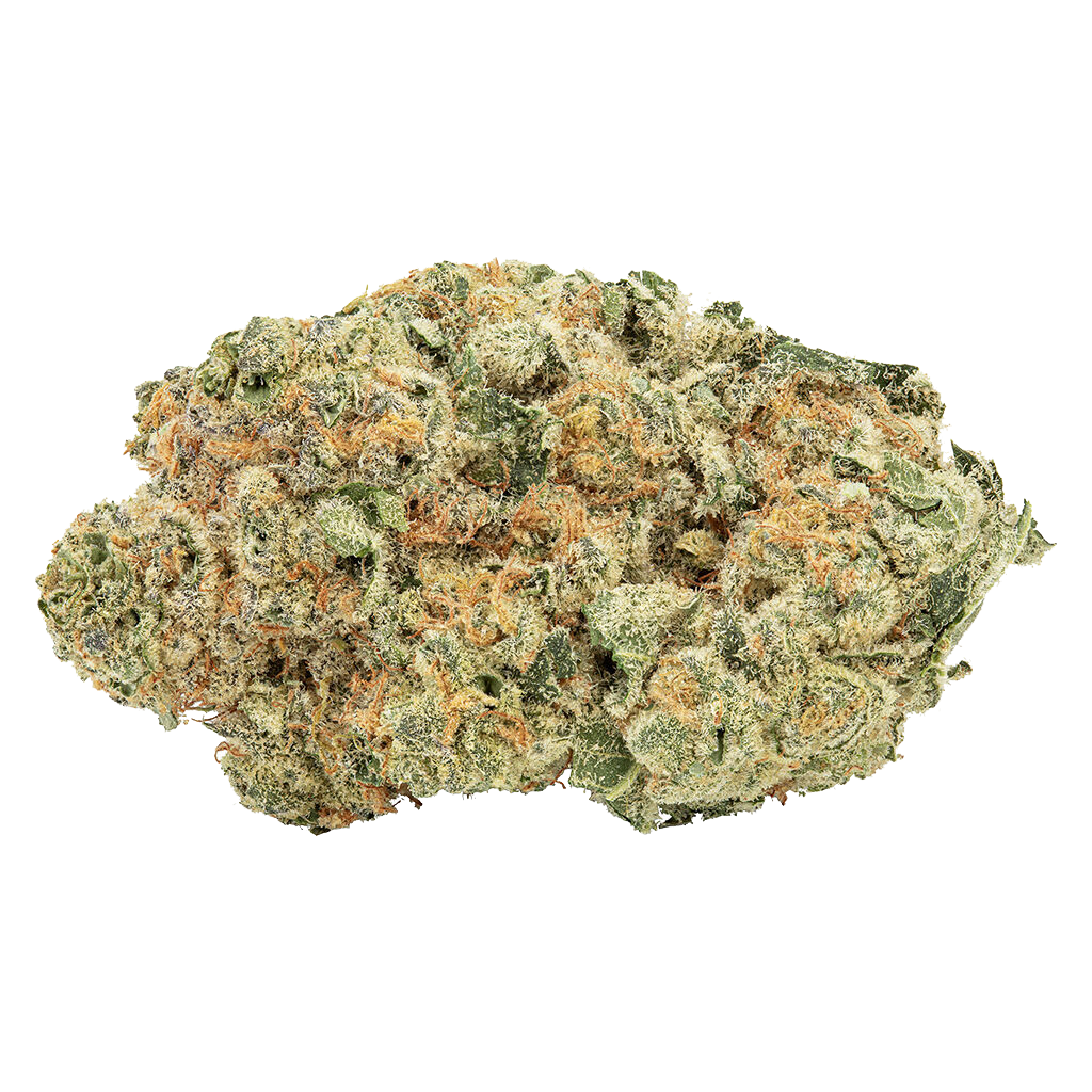 Tropicanna Tangie