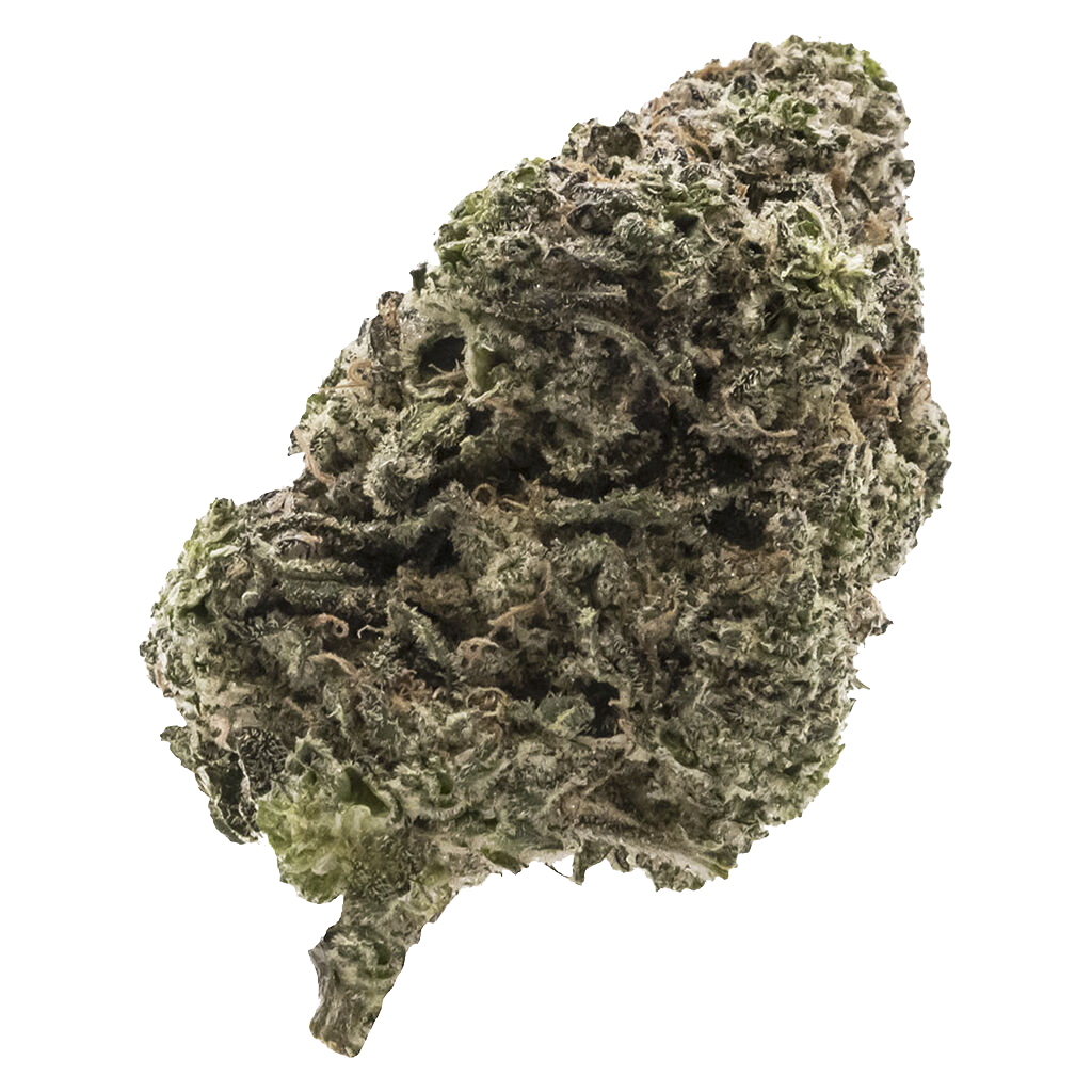 Jungle Fumes 3
