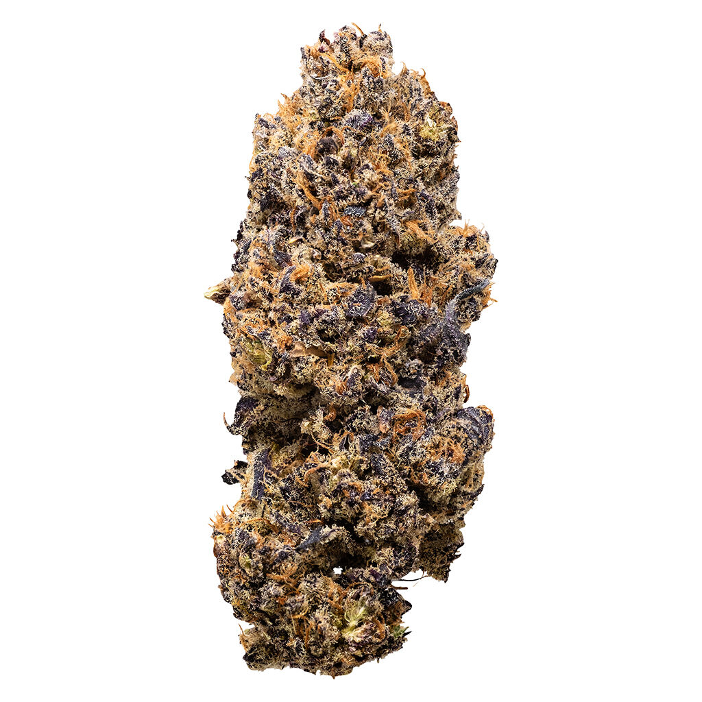 Lemon Whips Dried Flower 2