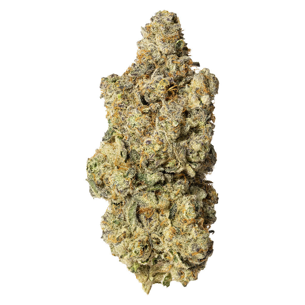 Blanh Sativa