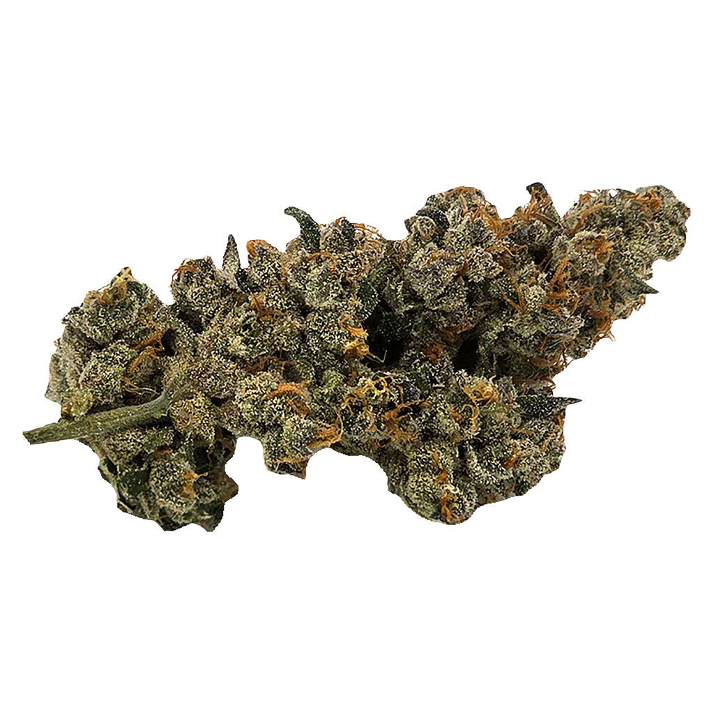 Bluenose Berry