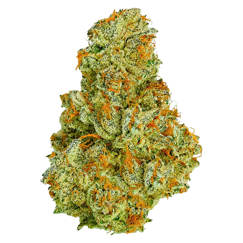 Electric Daisy