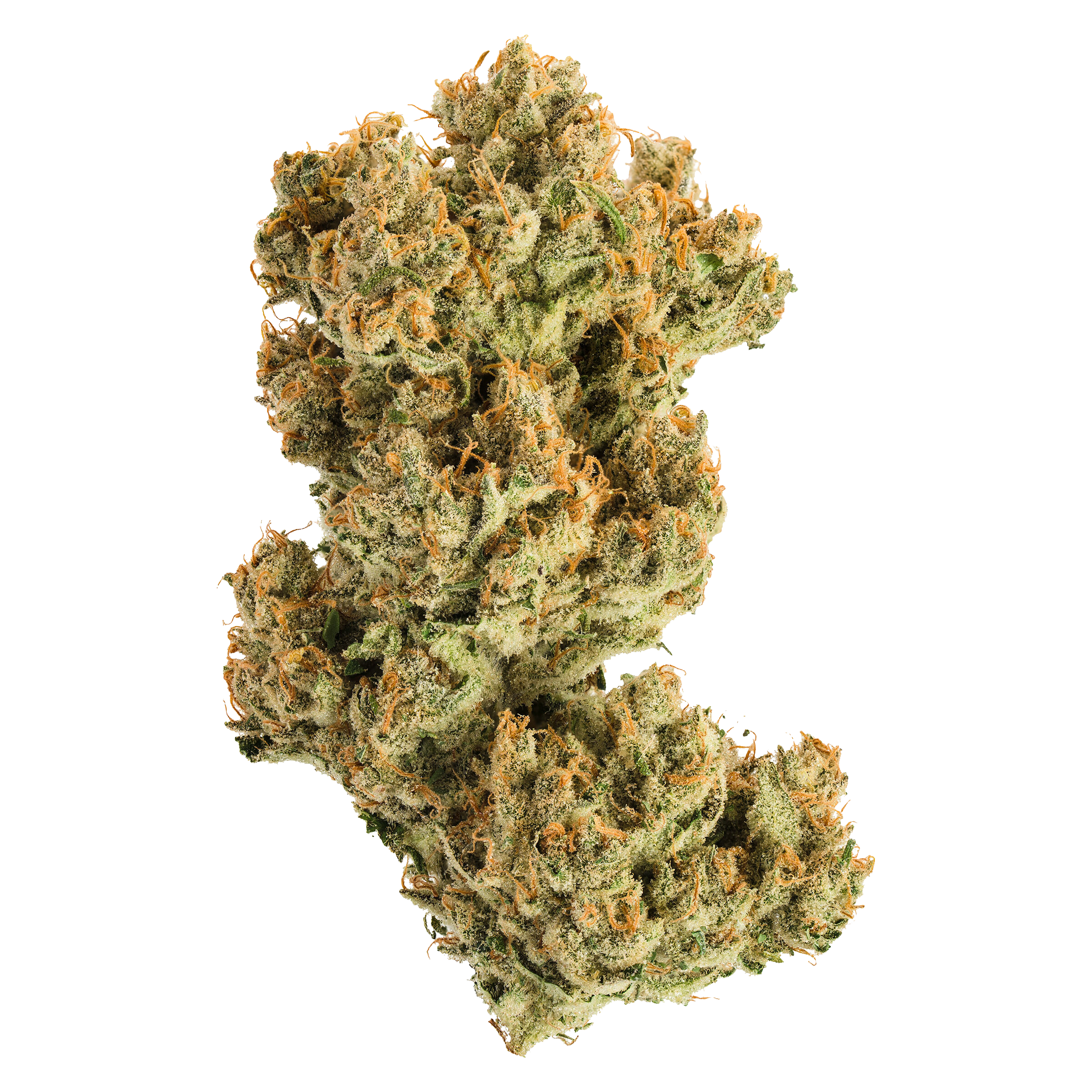 Acapulco Gold 2