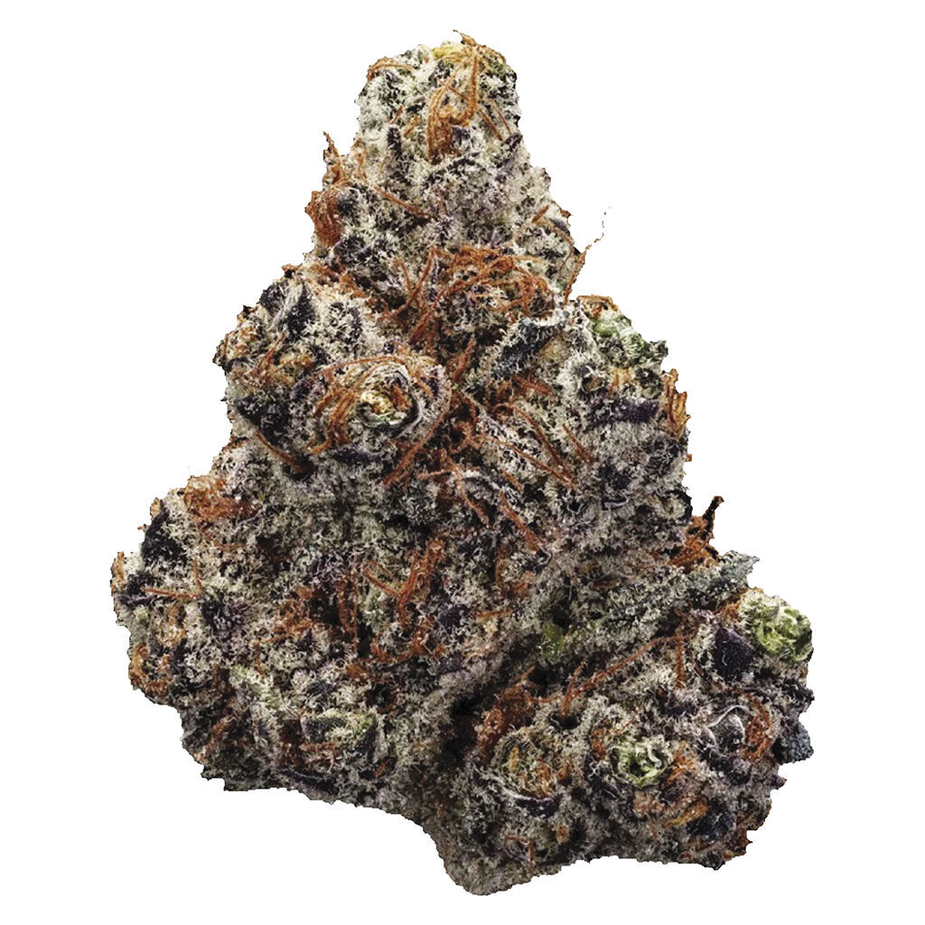 Northern Lights