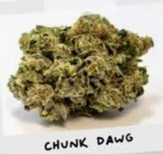 Chunk Dawg
