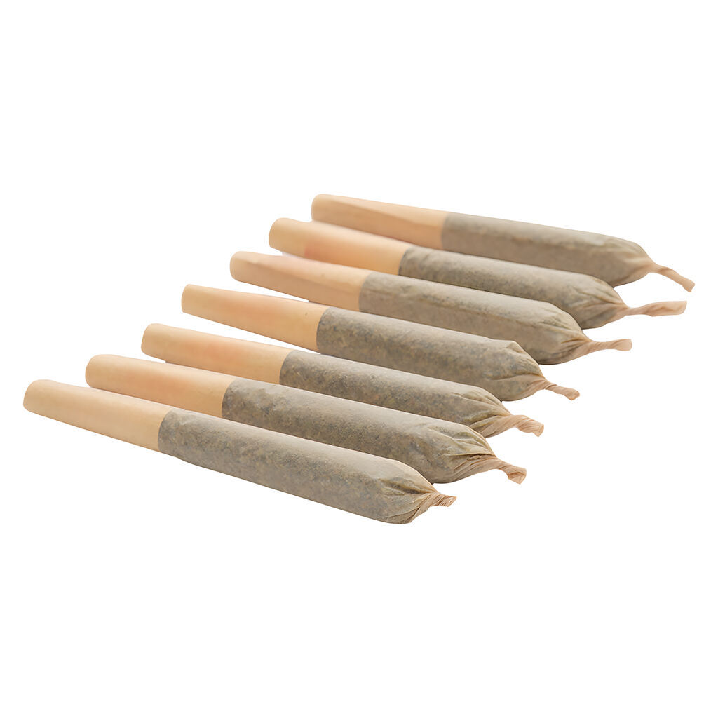 Gluerangutan Pre-Roll