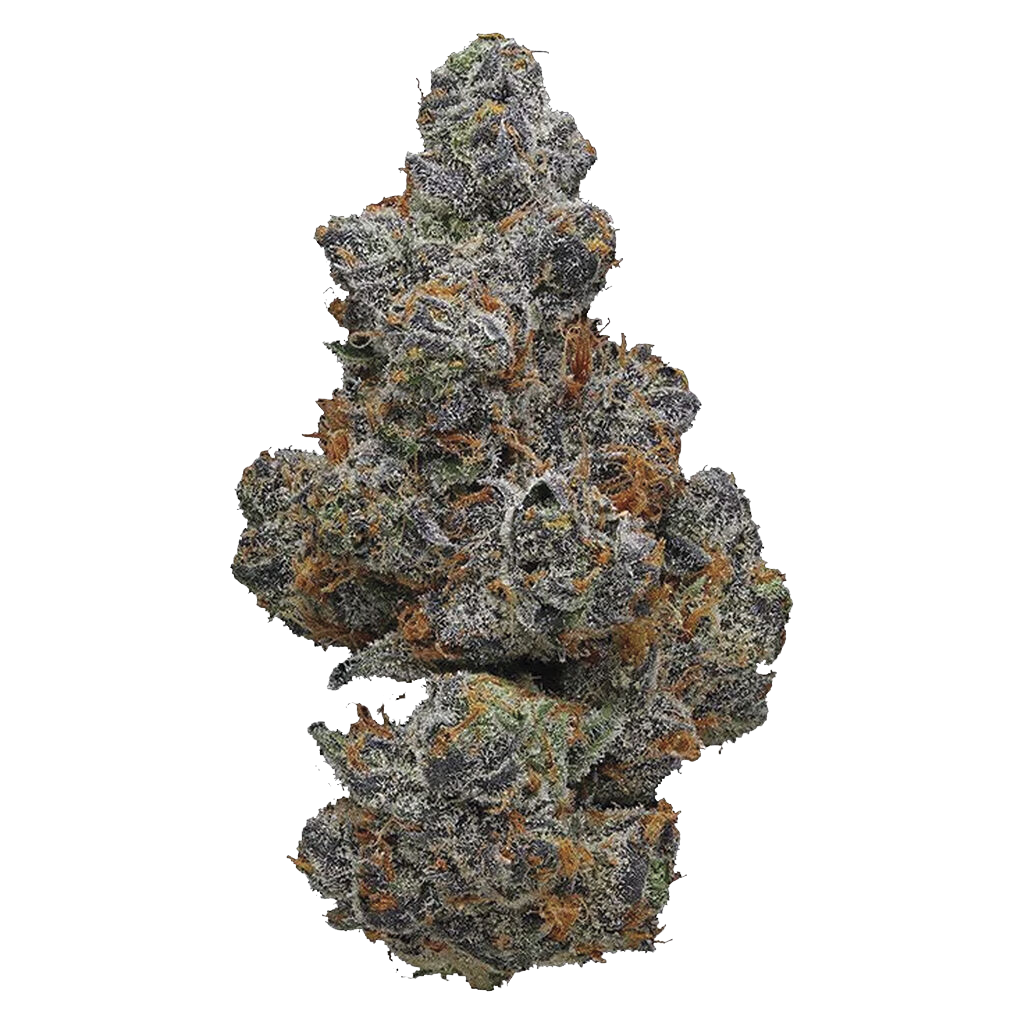 Apple Fritter - Indica