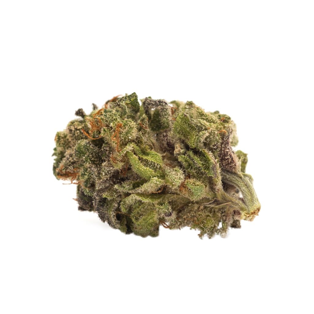 Sativa 2
