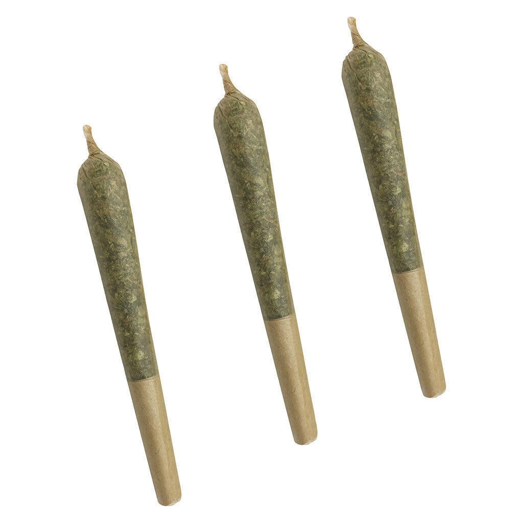 Citrus Tsunami Pre-Roll