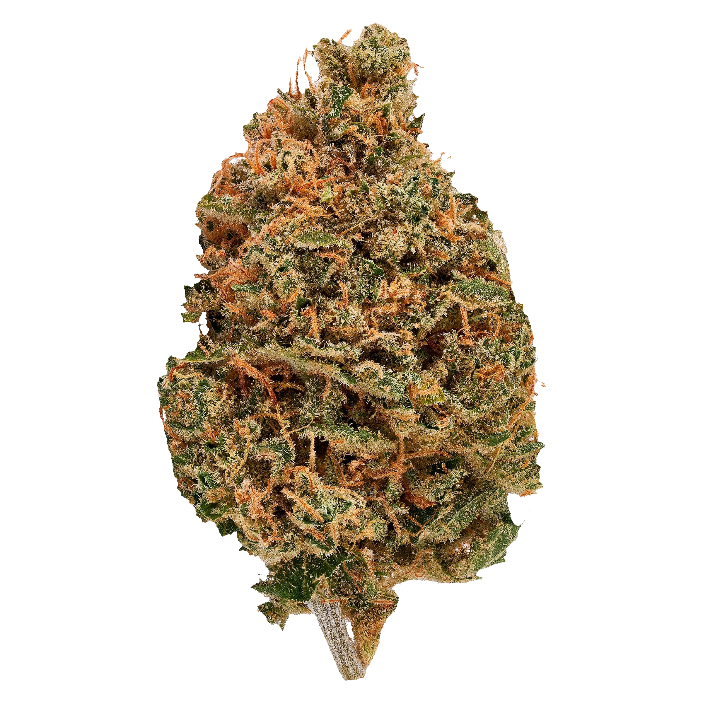 Deep Mandarine - Hybrid