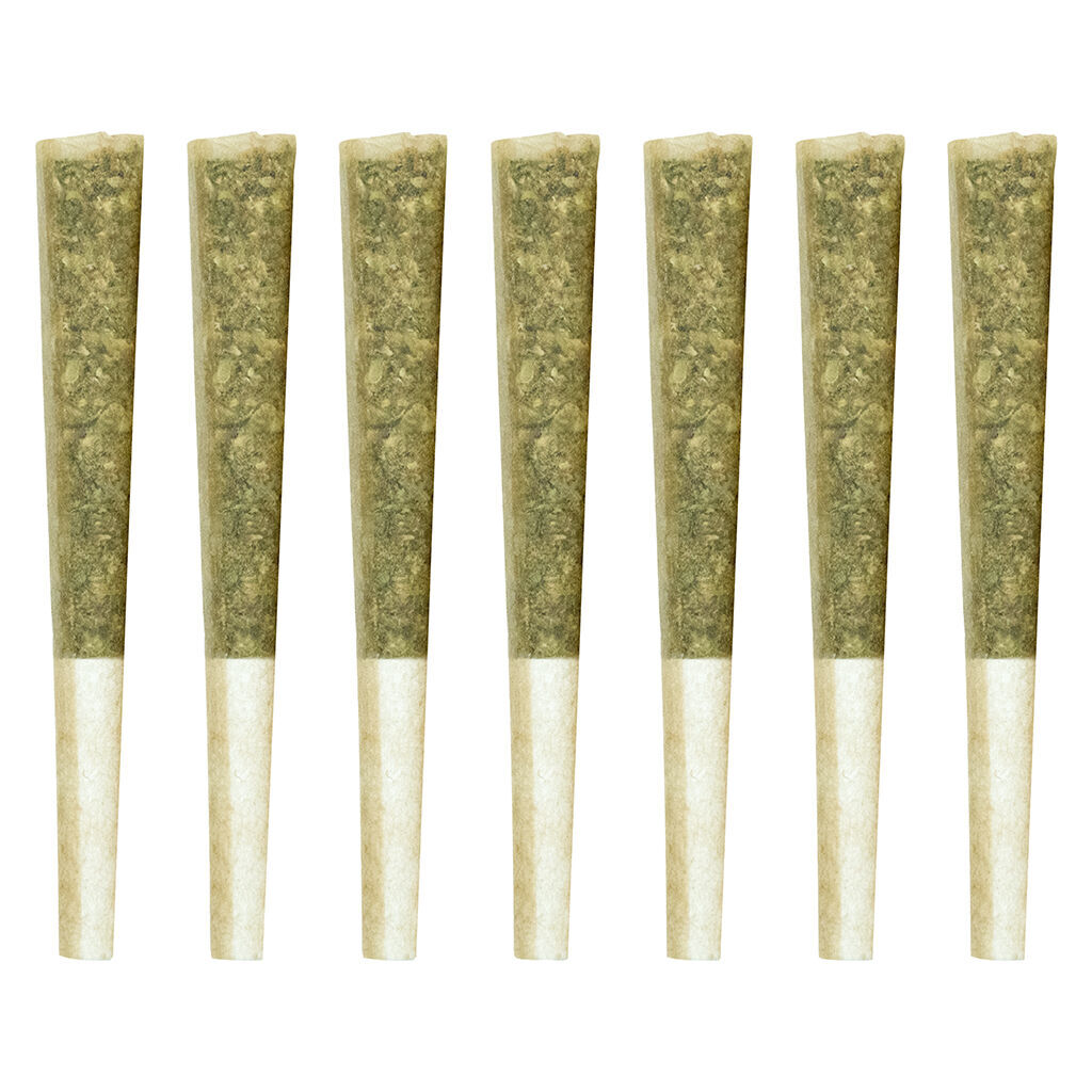 El Jefe Pre-Roll