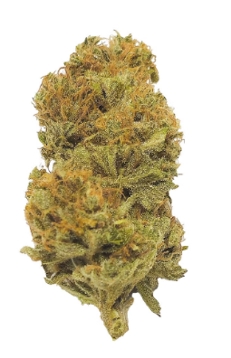 Durban Poison