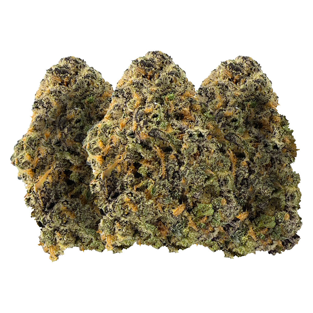 Day Pack