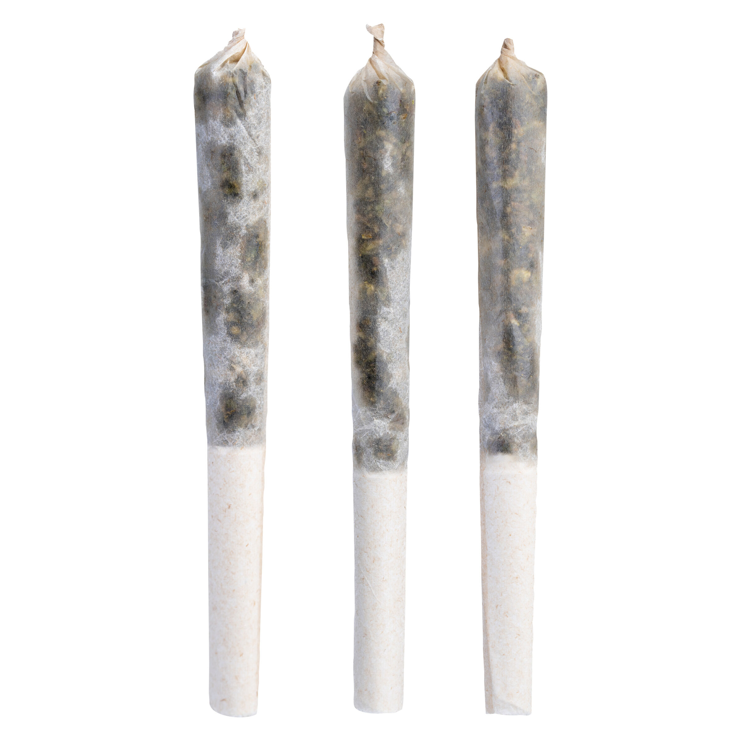 Electric Circus Infused Pre-Roll