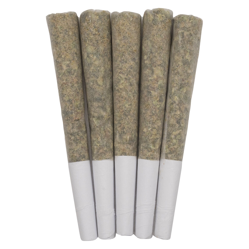 Exotics Pre-roll