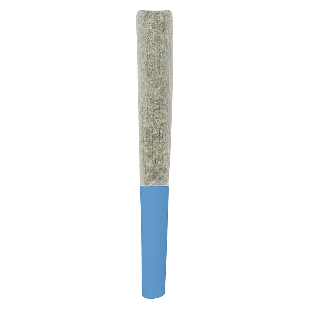 Blueberry Double Infused Pre-Roll