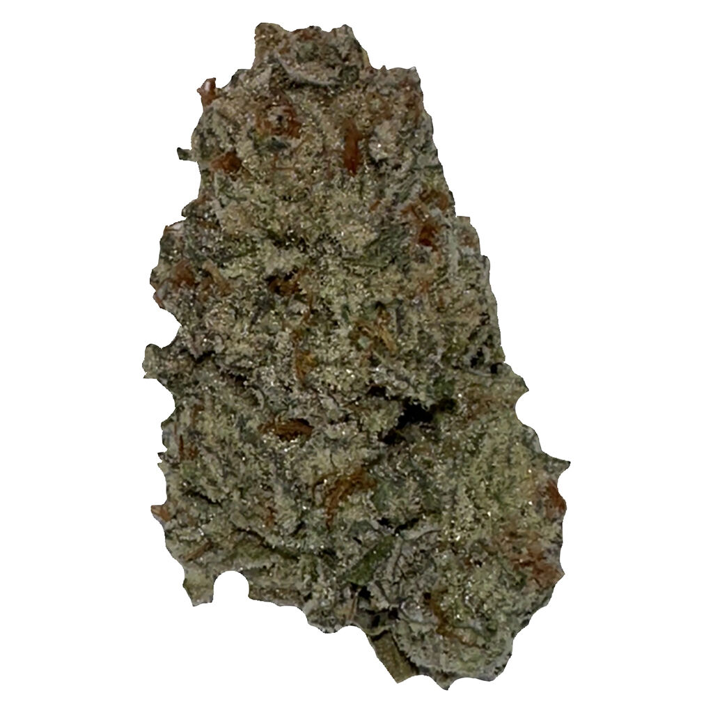 Wifi OG