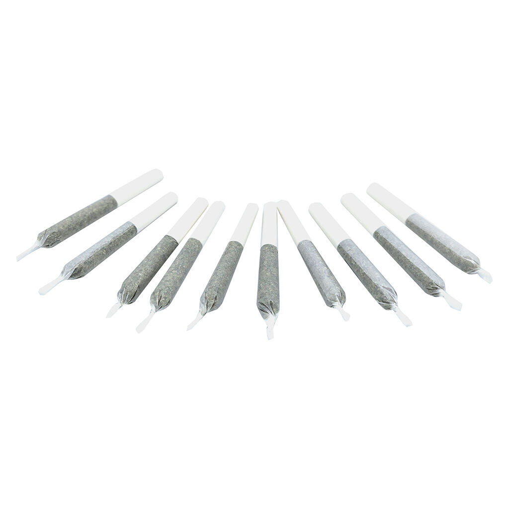 Pinners Pre-Roll