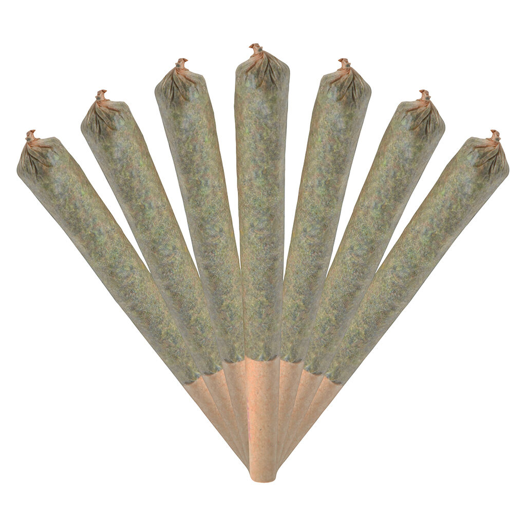 Jack Herer Jamboree Smiggies Pre-roll