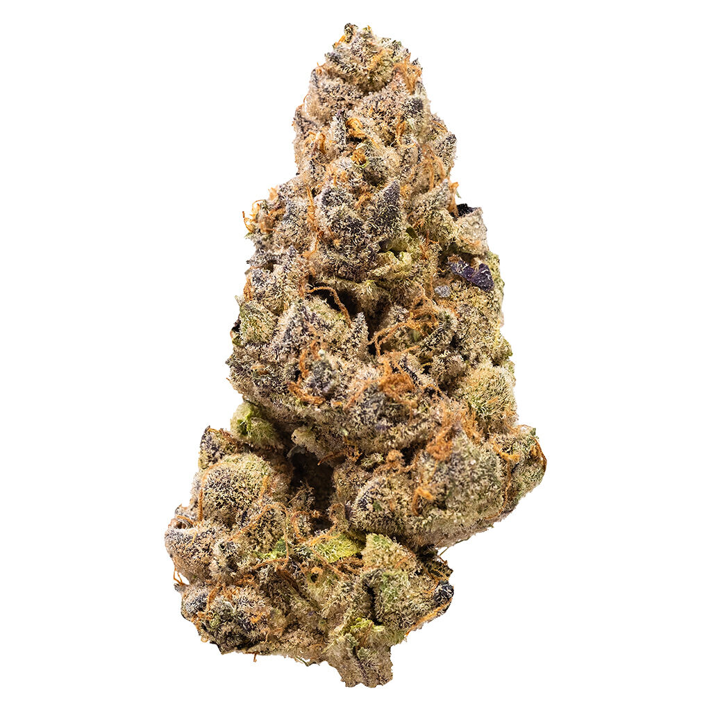 Garlic Fumez Dried Flower
