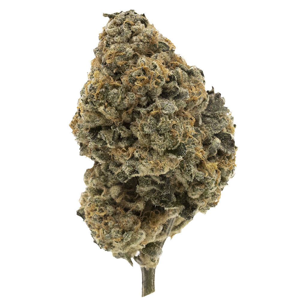 Kandy Cake - Dried Flower 4
